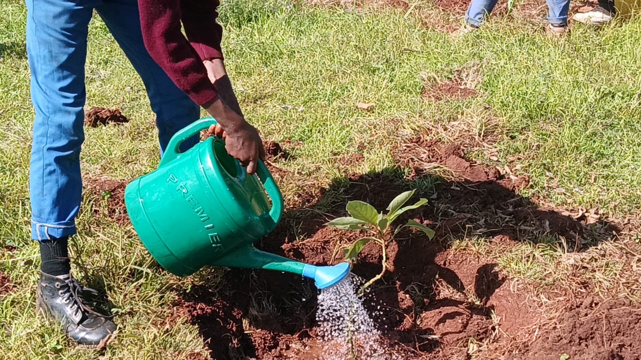 Children watering the garden